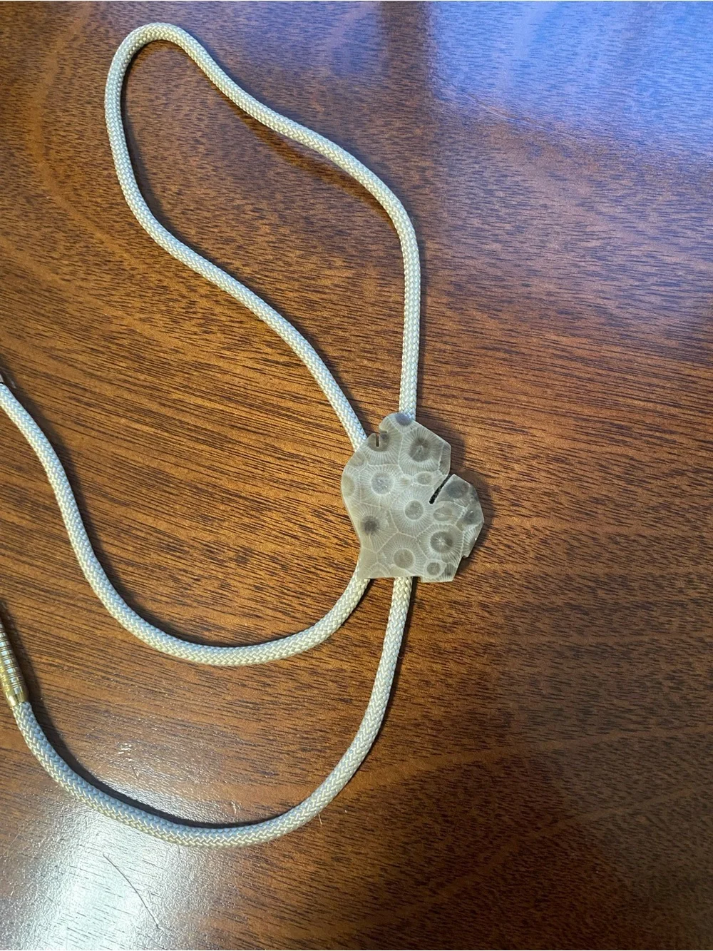 Rare vintage state of Michigan shaped petoskey stone slide bolo string tie